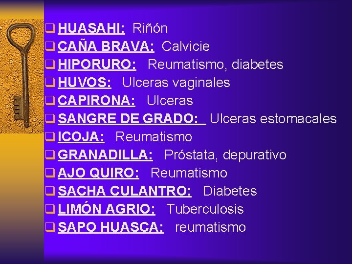 q HUASAHI: Riñón q CAÑA BRAVA: Calvicie q HIPORURO: Reumatismo, diabetes q HUVOS: Ulceras