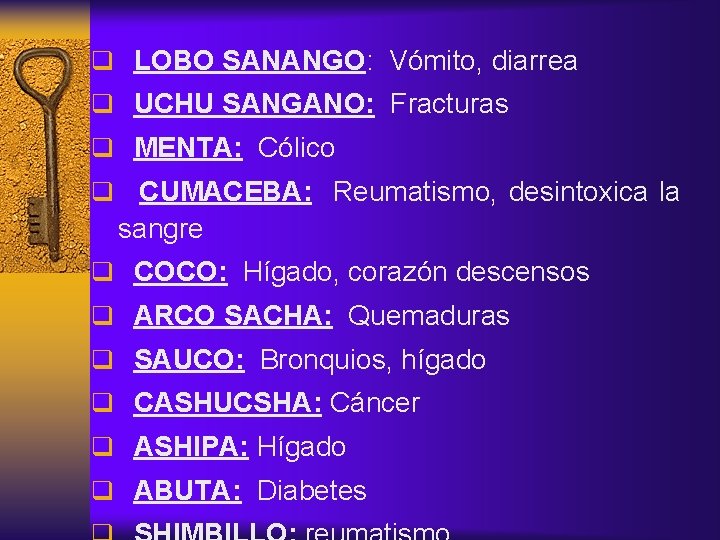 q LOBO SANANGO: Vómito, diarrea q UCHU SANGANO: Fracturas q MENTA: Cólico q CUMACEBA: