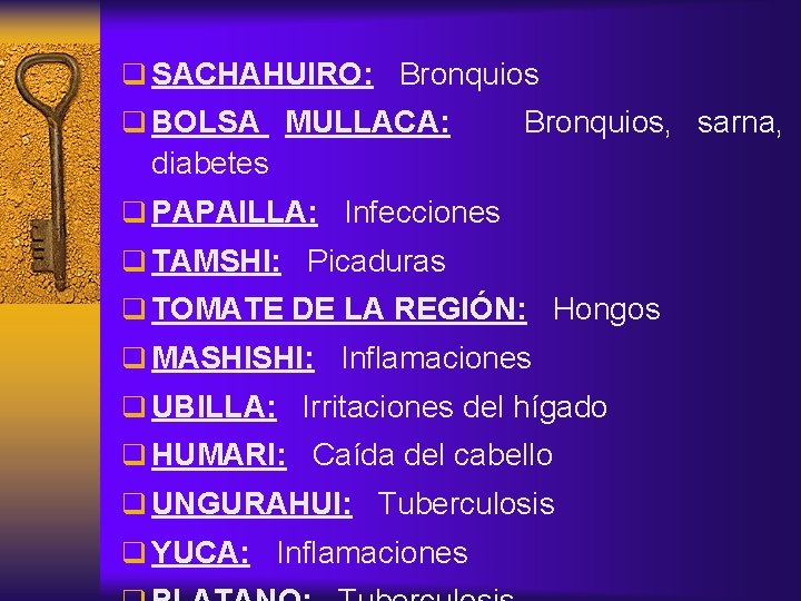 q SACHAHUIRO: Bronquios q BOLSA MULLACA: Bronquios, sarna, diabetes q PAPAILLA: Infecciones q TAMSHI:
