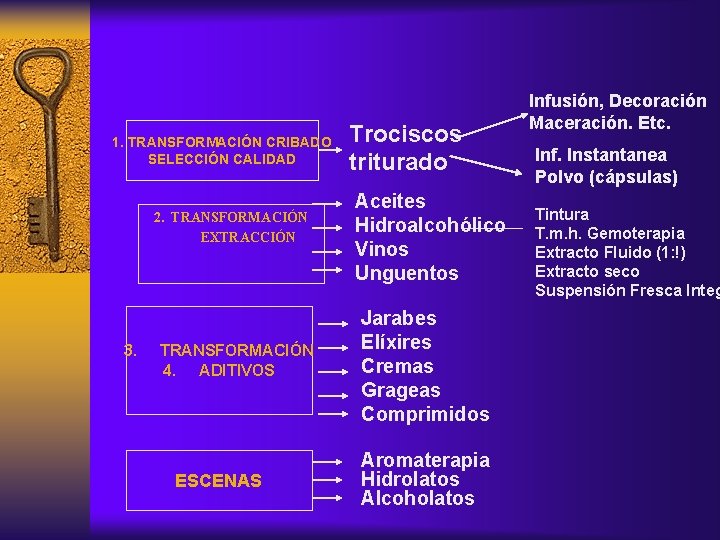 1. TRANSFORMACIÓN CRIBADO SELECCIÓN CALIDAD 2. TRANSFORMACIÓN EXTRACCIÓN 3. TRANSFORMACIÓN 4. ADITIVOS ESCENAS Trociscos