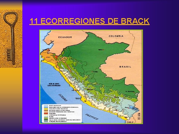 11 ECORREGIONES DE BRACK 