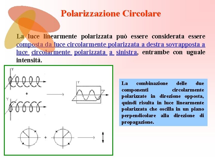 Polarizzazione Circolare La luce linearmente polarizzata può essere considerata essere composta da luce circolarmente