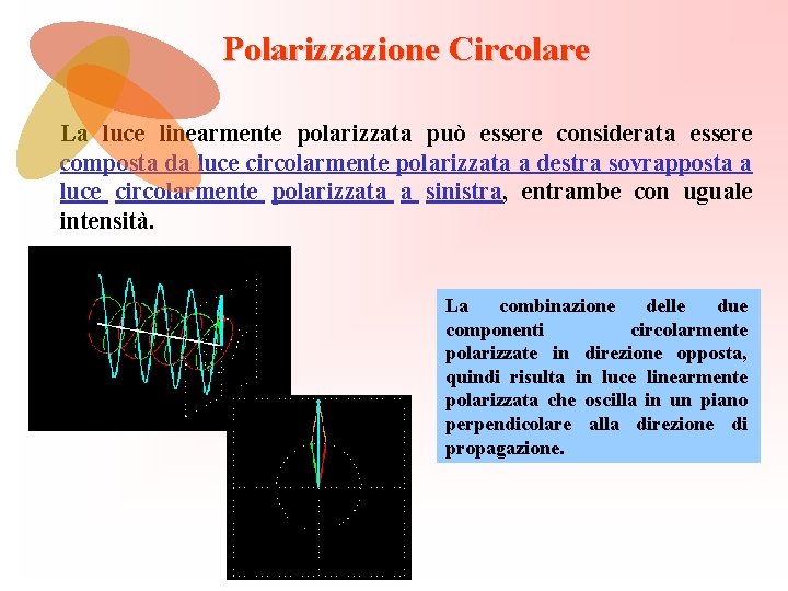 Polarizzazione Circolare La luce linearmente polarizzata può essere considerata essere composta da luce circolarmente