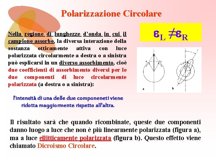 Polarizzazione Circolare Nella regione di lunghezze d’onda in cui il campione assorbe, la diversa