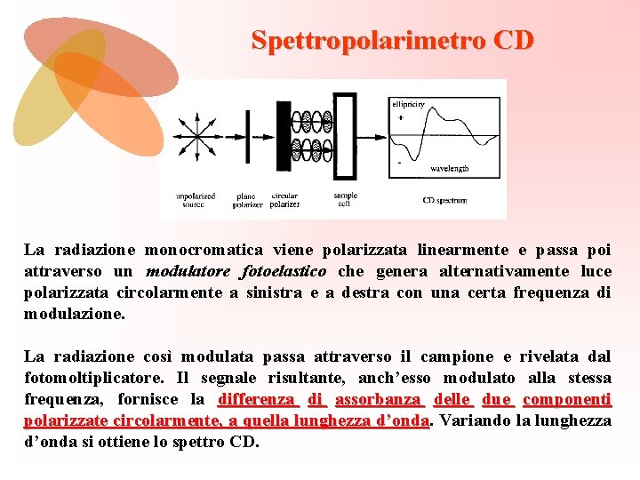 Spettropolarimetro CD La radiazione monocromatica viene polarizzata linearmente e passa poi attraverso un modulatore