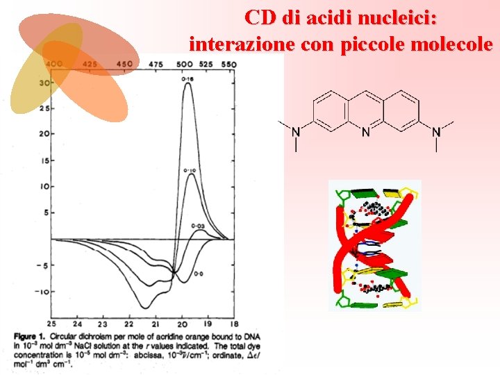 CD di acidi nucleici: interazione con piccole molecole 