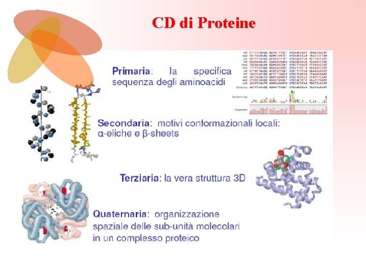 CD di Proteine 