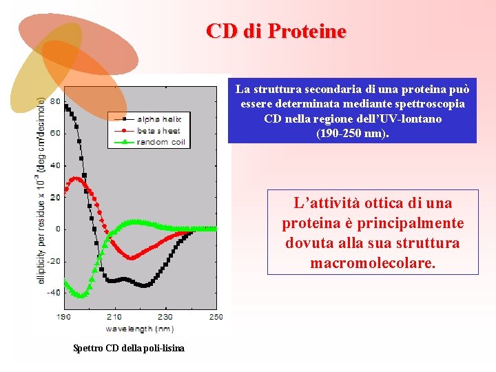 CD di Proteine La struttura secondaria di una proteina può essere determinata mediante spettroscopia