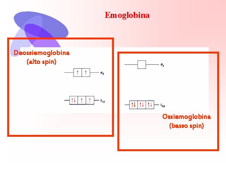 Emoglobina Deossiemoglobina (alto spin) Ossiemoglobina (basso spin) 