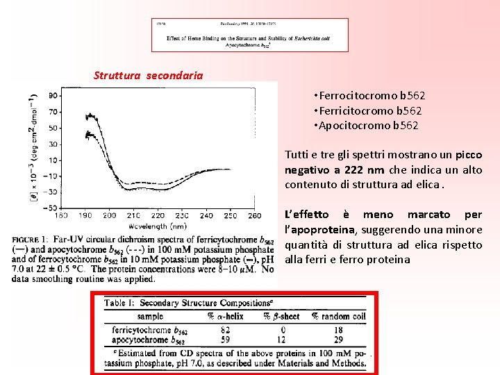 Struttura secondaria • Ferrocitocromo b 562 • Ferricitocromo b 562 • Apocitocromo b 562