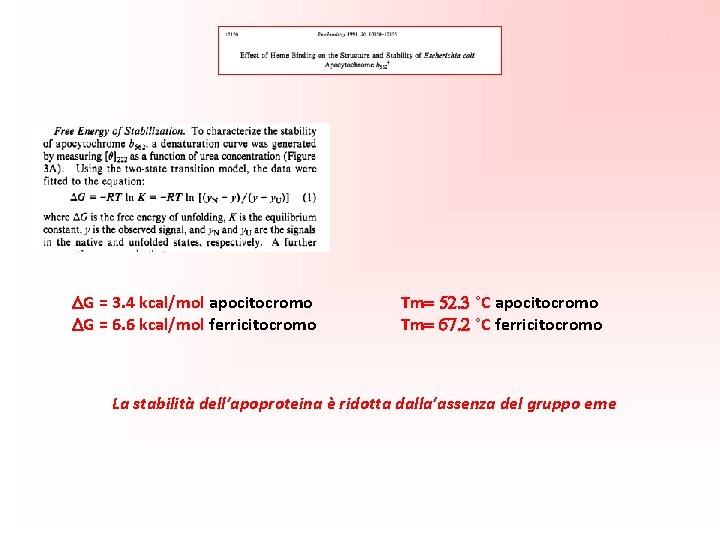 DG = 3. 4 kcal/mol apocitocromo DG = 6. 6 kcal/mol ferricitocromo Tm= 52.