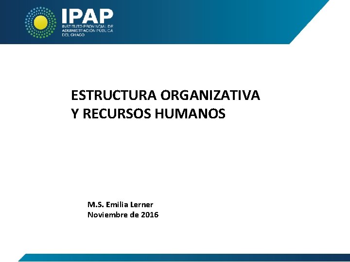 ESTRUCTURA ORGANIZATIVA Y RECURSOS HUMANOS M. S. Emilia Lerner Noviembre de 2016 