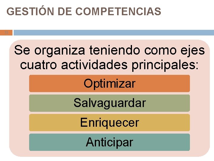 GESTIÓN DE COMPETENCIAS 23 Se organiza teniendo como ejes cuatro actividades principales: Optimizar Salvaguardar