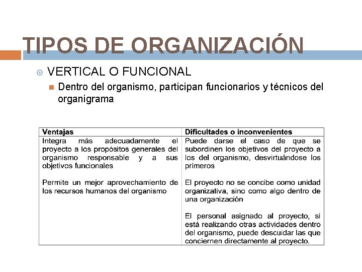 TIPOS DE ORGANIZACIÓN VERTICAL O FUNCIONAL Dentro del organismo, participan funcionarios y técnicos del