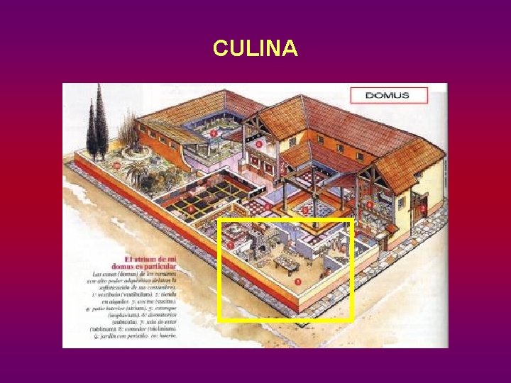 CULINA 