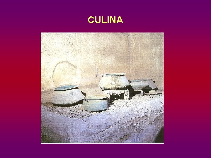 CULINA 