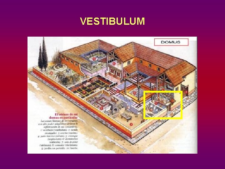 VESTIBULUM 