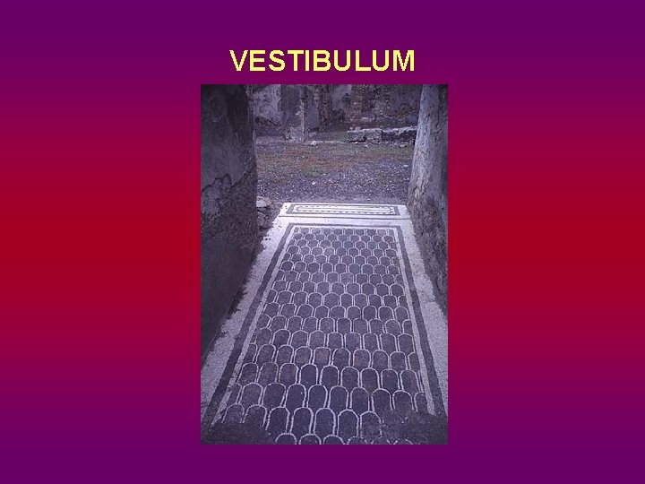 VESTIBULUM 