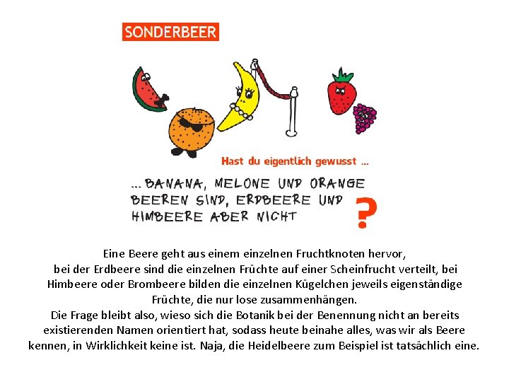 Eine Beere geht aus einem einzelnen Fruchtknoten hervor, bei der Erdbeere sind die einzelnen