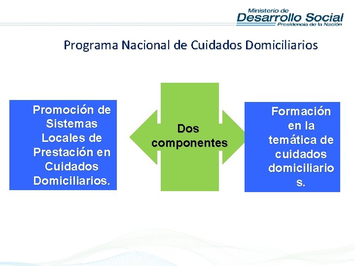 Programa Nacional de Cuidados Domiciliarios Promoción de Sistemas Locales de Prestación en Cuidados Domiciliarios.
