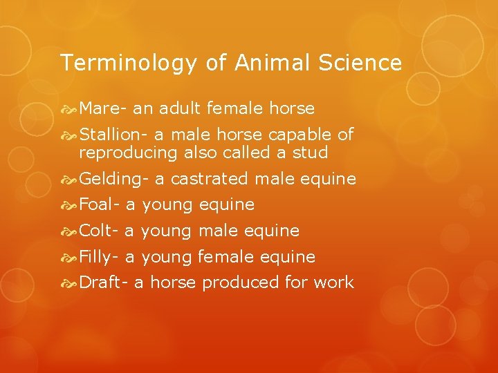 Terminology of Animal Science Mare- an adult female horse Stallion- a male horse capable