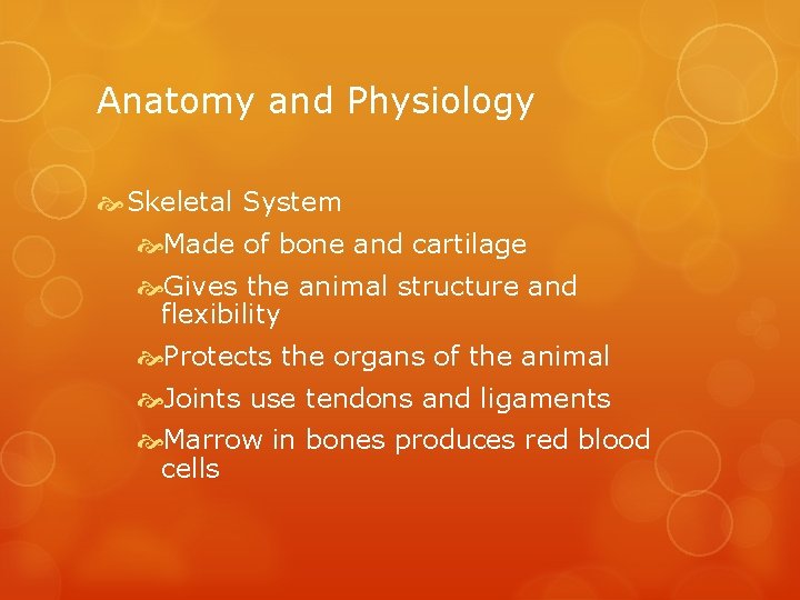 Anatomy and Physiology Skeletal System Made of bone and cartilage Gives the animal structure