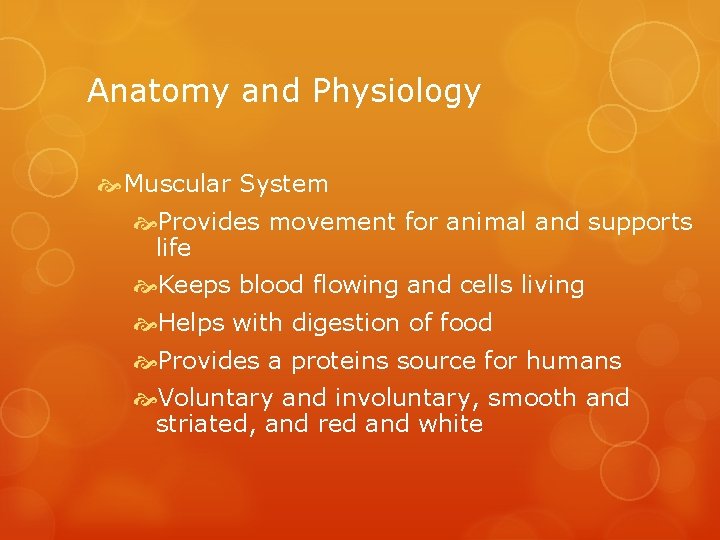 Anatomy and Physiology Muscular System Provides movement for animal and supports life Keeps blood