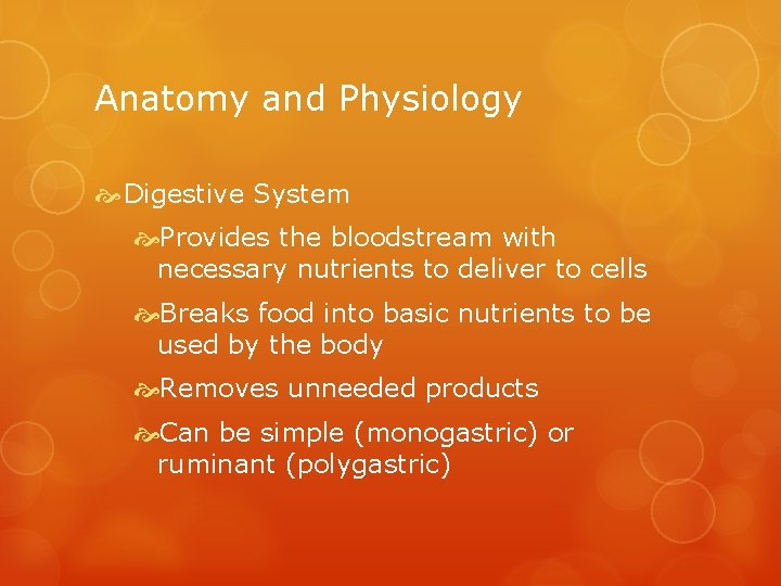 Anatomy and Physiology Digestive System Provides the bloodstream with necessary nutrients to deliver to