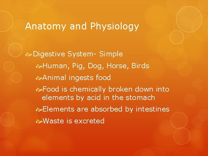 Anatomy and Physiology Digestive System- Simple Human, Pig, Dog, Horse, Birds Animal ingests food