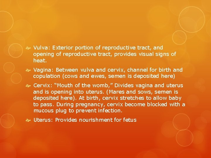  Vulva: Exterior portion of reproductive tract, and opening of reproductive tract, provides visual