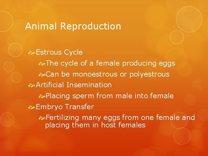 Animal Reproduction Estrous Cycle The cycle of a female producing eggs Can be monoestrous