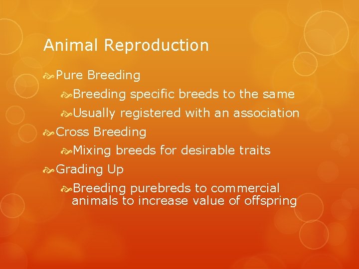 Animal Reproduction Pure Breeding specific breeds to the same Usually registered with an association