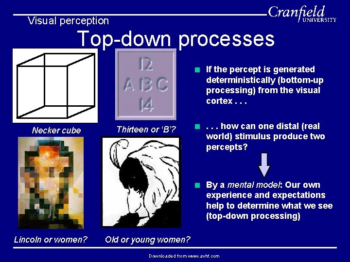Visual perception Top-down processes < If the percept is generated deterministically (bottom-up processing) from