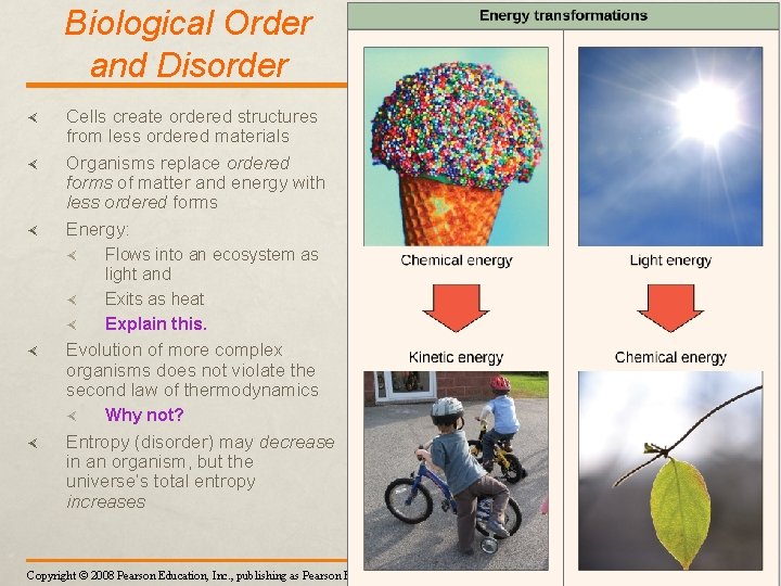 Chapter 8 An Introduction to Metabolism Mrs Valdes