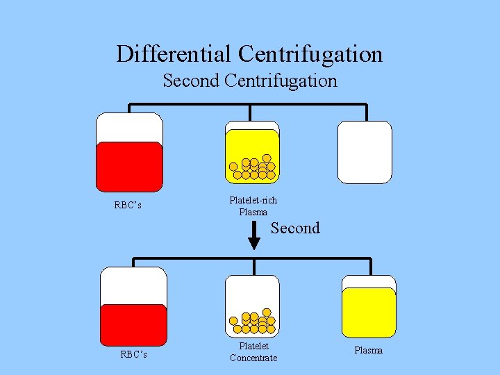Differential Centrifugation Second Centrifugation RBC’s Platelet-rich Plasma Second RBC’s Platelet Concentrate Plasma 