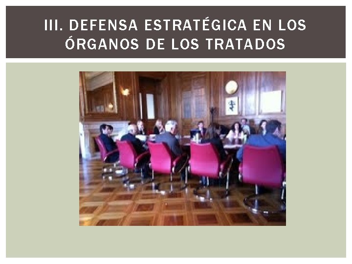 III. DEFENSA ESTRATÉGICA EN LOS ÓRGANOS DE LOS TRATADOS 