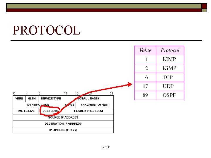 PROTOCOL TCP/IP PROTOCOL TCP/IP