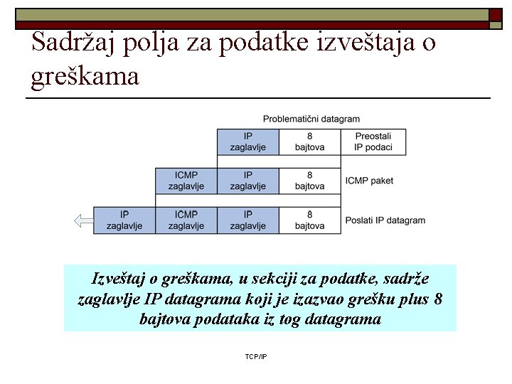 Sadržaj polja za podatke izveštaja o greškama Izveštaj o greškama, u sekciji za podatke,