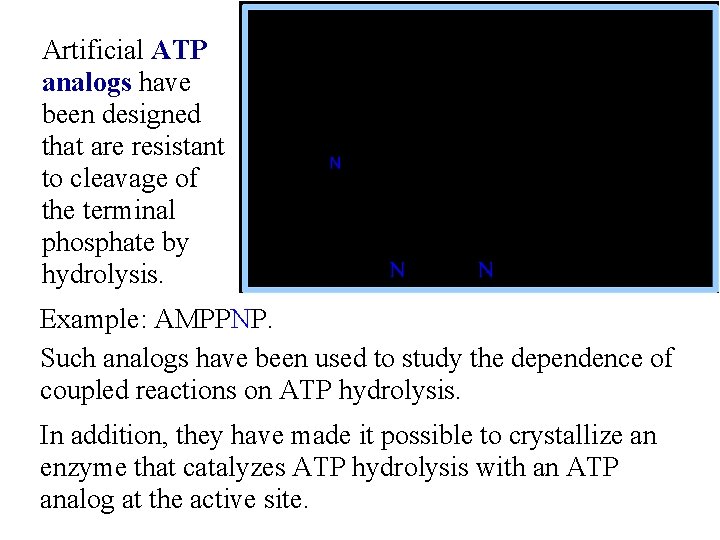 Artificial ATP analogs have been designed that are resistant to cleavage of the terminal