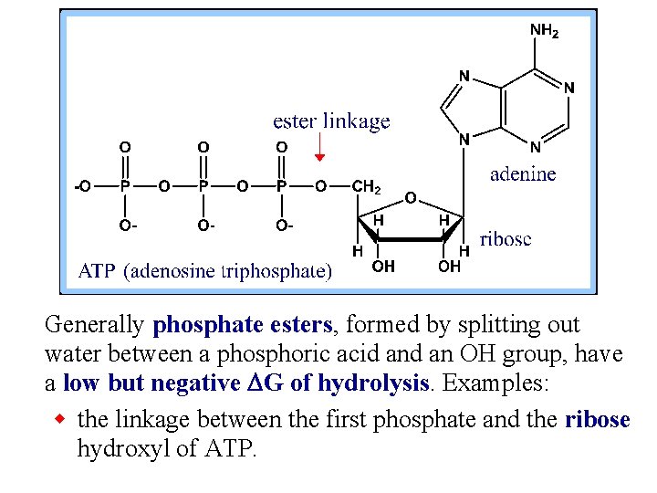 Generally phosphate esters, formed by splitting out water between a phosphoric acid an OH