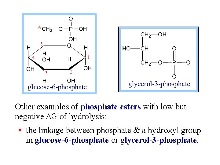 Other examples of phosphate esters with low but negative DG of hydrolysis: w the