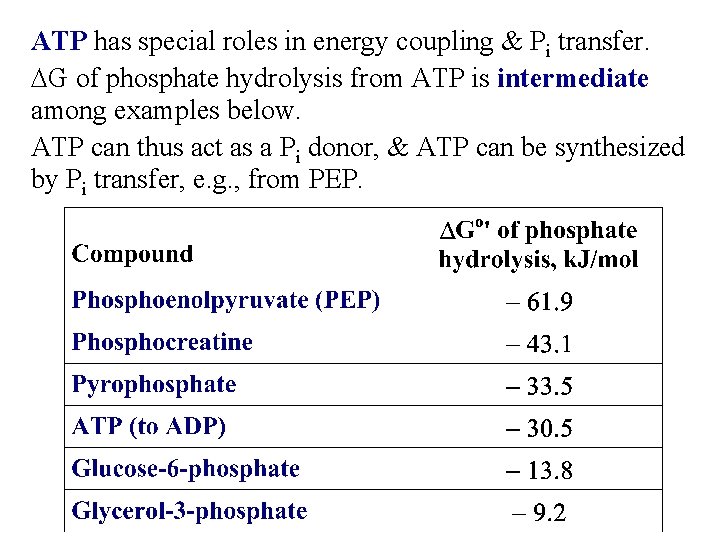 ATP has special roles in energy coupling & Pi transfer. DG of phosphate hydrolysis