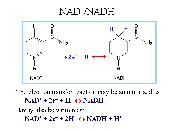 NAD+/NADH The electron transfer reaction may be summarized as : NAD+ + 2 e-