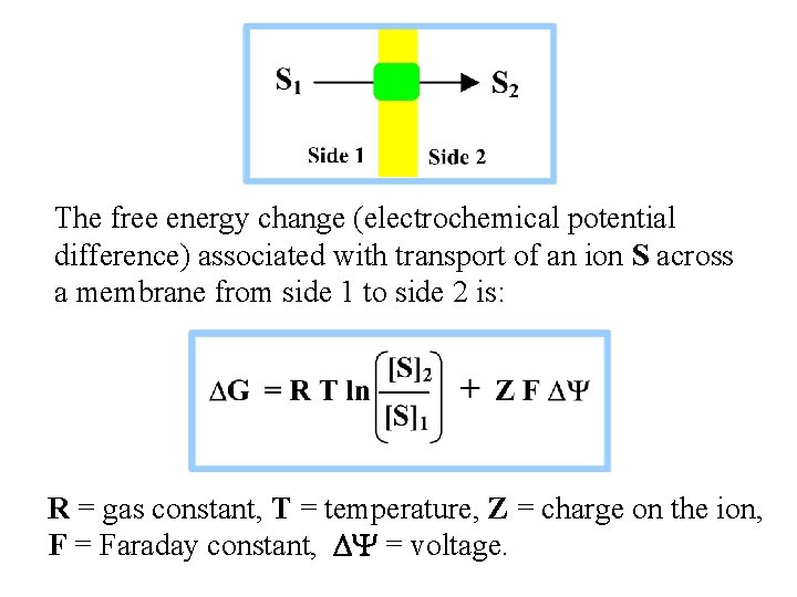 The free energy change (electrochemical potential difference) associated with transport of an ion S