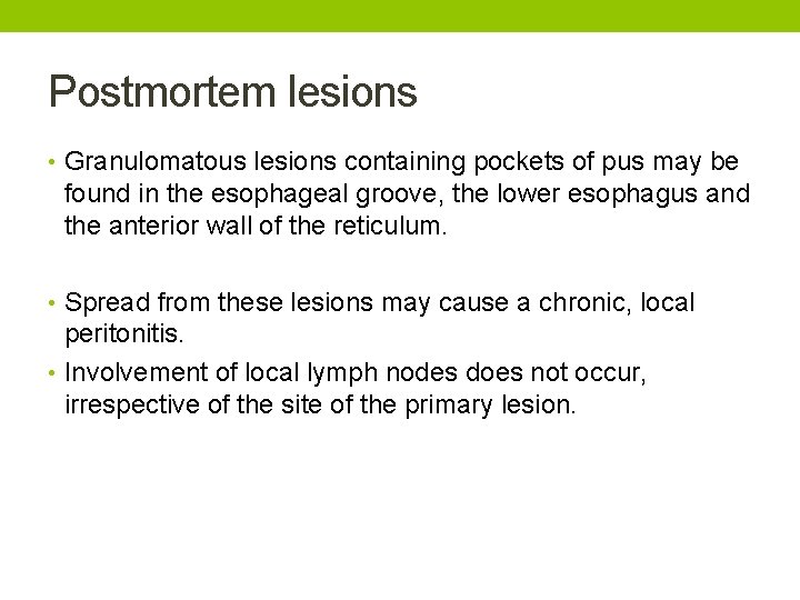 Postmortem lesions • Granulomatous lesions containing pockets of pus may be found in the