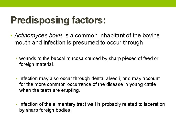 Predisposing factors: • Actinomyces bovis is a common inhabitant of the bovine mouth and