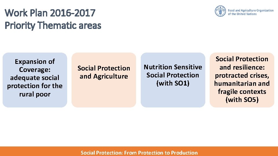 Work Plan 2016 -2017 Priority Thematic areas Expansion of Coverage: adequate social protection for