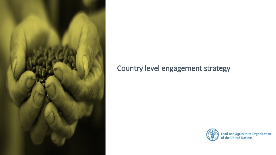 Country level engagement strategy 