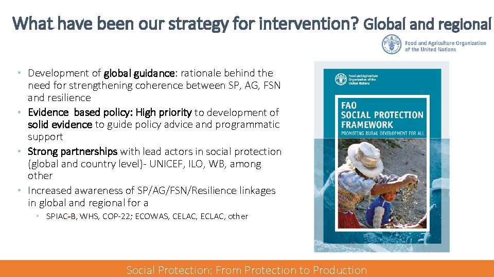 What have been our strategy for intervention? Global and regional • Development of global