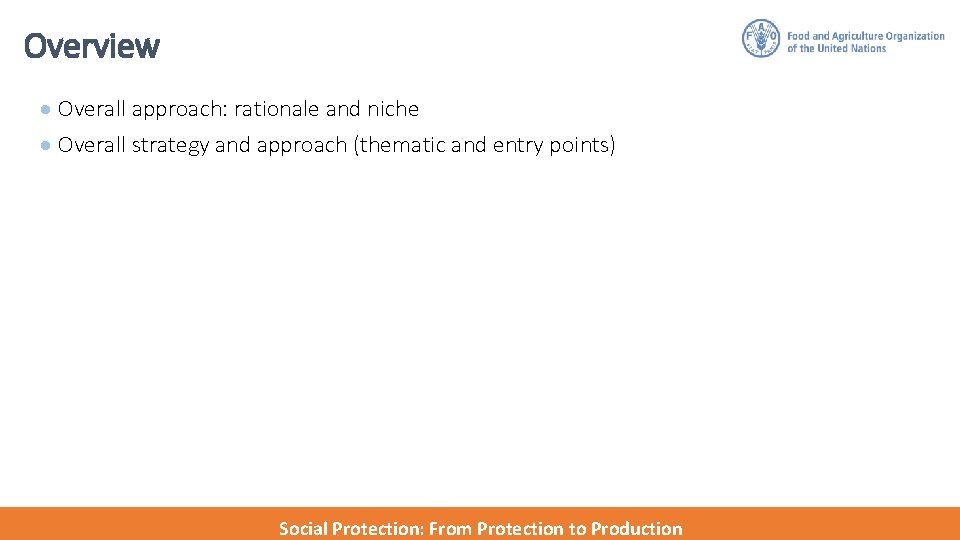Overview · Overall approach: rationale and niche · Overall strategy and approach (thematic and